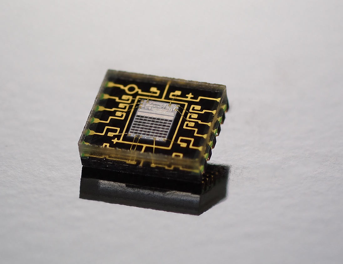 Canon EOS 60D - Autofokussensor